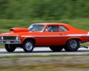 June Race